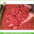 Organic and Conventional Dried Goji Berry Offer From Alibaba Golden Supplier